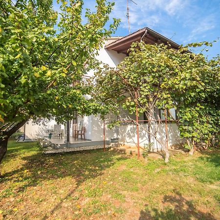 Villa Aleksandar Porec Bagian luar foto